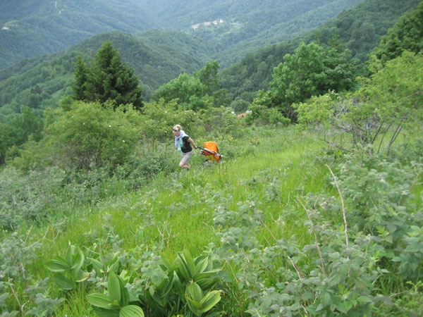 mit Baby wandern auf pfaden durch die Berge